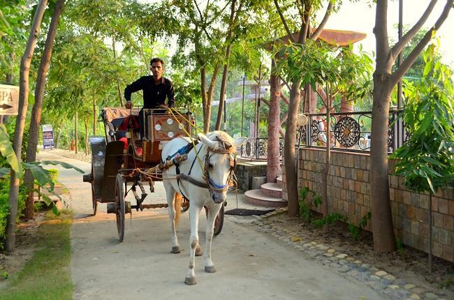 Kangs Nirvana Resorts And Spa Mahalpur Eksteriør billede